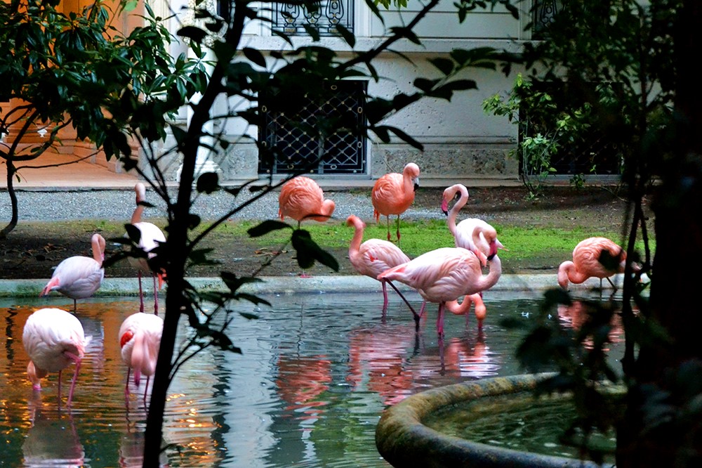 Milano_Italy